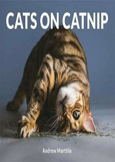 Cats on Catnip, Hardcover/Andrew Marttila