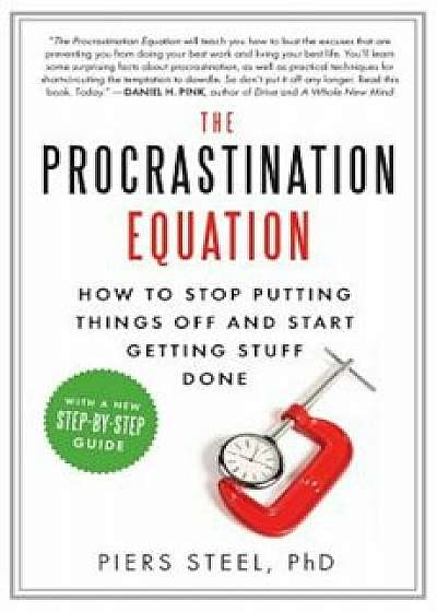 The Procrastination Equation: How to Stop Putting Things Off and Start Getting Stuff Done, Paperback/Piers Phd Steel