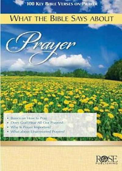 What the Bible Says about Prayer, Paperback/Rose Publishing