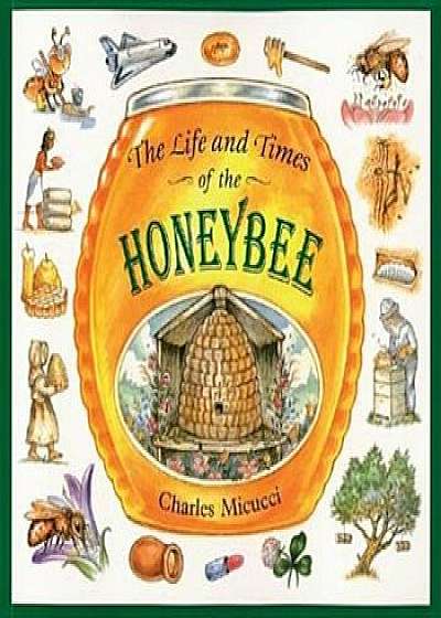 The Life and Times of the Honeybee, Paperback/Charles Micucci