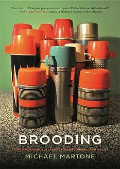Brooding: Arias, Choruses, Lullabies, Follies, Dirges, and a Duet, Paperback/Michael Martone