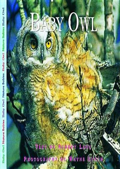 Baby Owl, Paperback/Aubrey Lang