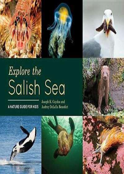 Explore the Salish Sea: A Nature Guide for Kids, Hardcover/Joseph K. Gaydos