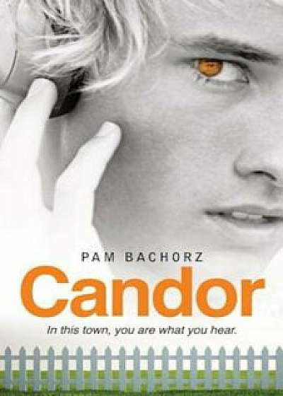 Candor, Paperback/Pam Bachorz