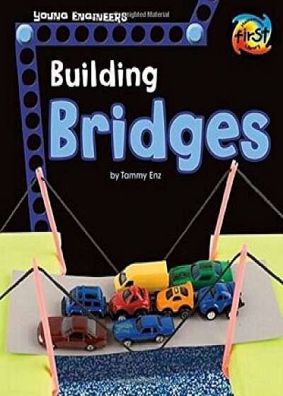 Building Bridges, Paperback/Tammy Enz