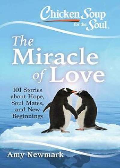 Chicken Soup for the Soul: The Miracle of Love: 101 Stories about Hope, Soul Mates and New Beginnings, Paperback/Amy Newmark