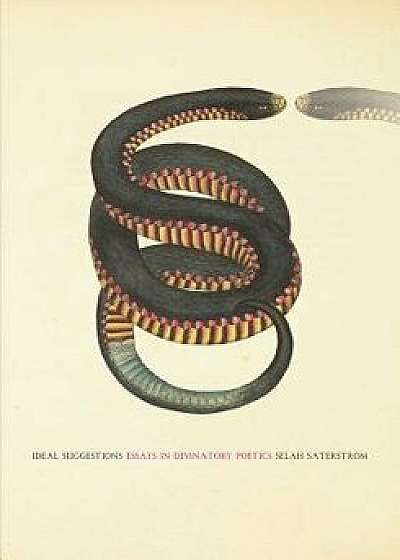 Ideal Suggestions: Essays in Divinatory Poetics, Paperback/Selah Saterstrom