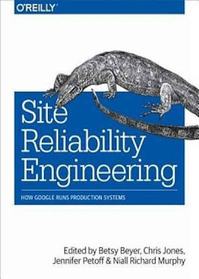 Site Reliability Engineering: How Google Runs Production Systems, Paperback/Betsy Beyer