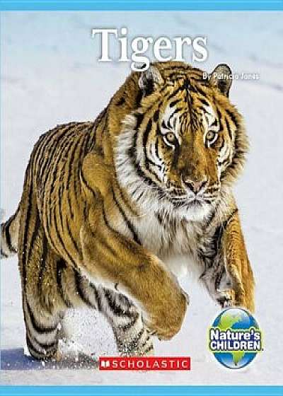Tigers, Hardcover/Patricia Janes