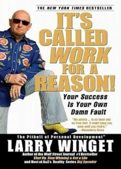 It's Called Work for a Reason!: Your Success Is Your Own Damn Fault, Paperback/Larry Winget