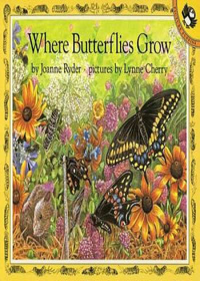Where Butterflies Grow, Paperback/Joanne Ryder