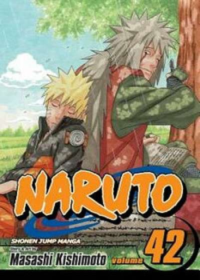 Naruto, V42, Paperback/Masashi Kishimoto