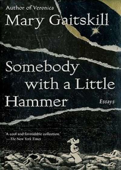 Somebody with a Little Hammer: Essays, Paperback/Mary Gaitskill