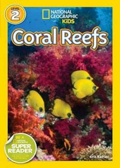Coral Reefs, Paperback/Kristin Rattini