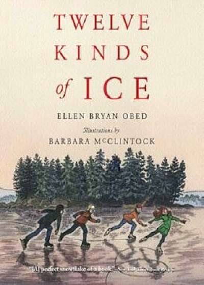 Twelve Kinds of Ice, Paperback/Ellen Bryan Obed