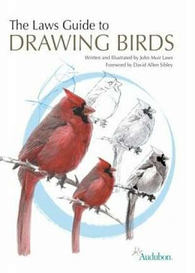 The Laws Guide to Drawing Birds, Paperback/John Muir Laws