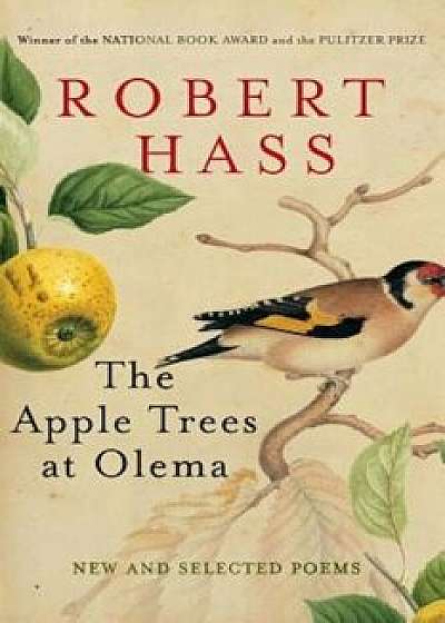 The Apple Trees at Olema: New and Selected Poems, Paperback/Robert Hass