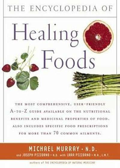 The Encyclopedia of Healing Foods, Paperback/Michael T. Murray