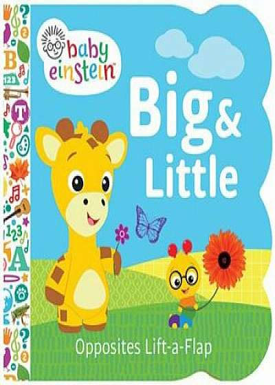 Baby Einstein: Big & Little, Hardcover/Dan Crisp