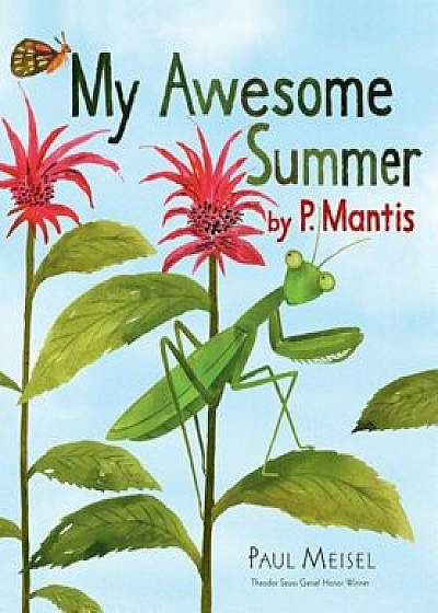 My Awesome Summer by P. Mantis, Paperback/Paul Meisel