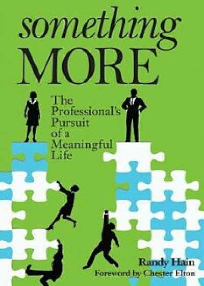 Something More: The Professional's Pursuit of a Meaningful Life, Paperback/Randy Hain
