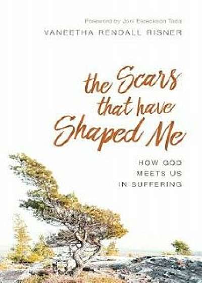 The Scars That Have Shaped Me: How God Meets Us in Suffering, Paperback/Vaneetha Rendall Risner