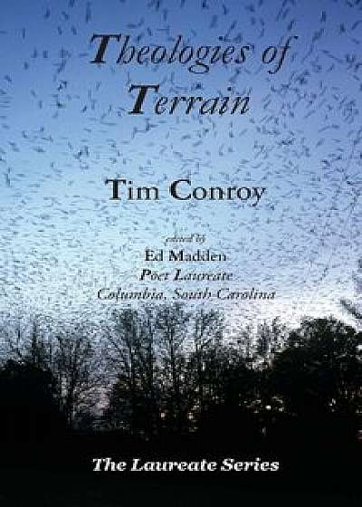 Theologies of Terrain, Paperback/Tim Conroy