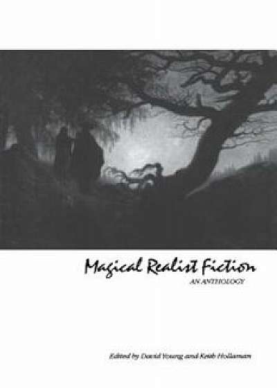 Magical Realist Fiction: An Anthology, Paperback/David Young
