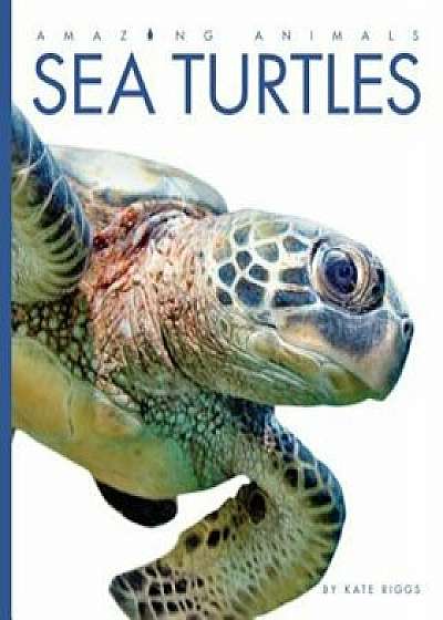 Amazing Animals: Sea Turtles, Paperback/Kate Riggs