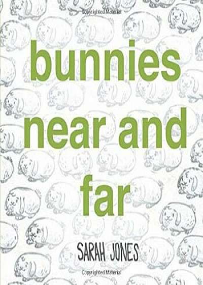 Bunnies Near and Far, Hardcover/Sarah Jones