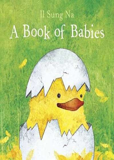 A Book of Babies, Hardcover/Il Sung Na
