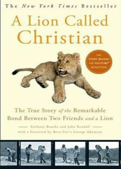A Lion Called Christian, Paperback/Anthony Bourke