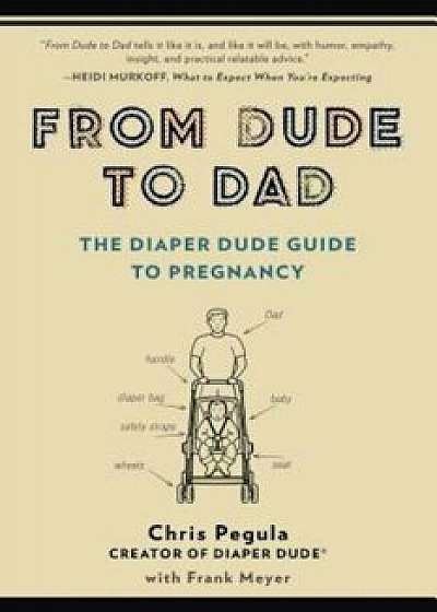 From Dude to Dad: The Diaper Dude Guide to Pregnancy, Paperback/Chris Pegula