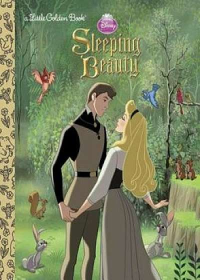Sleeping Beauty (Disney Princess), Hardcover/Michael Teitelbaum