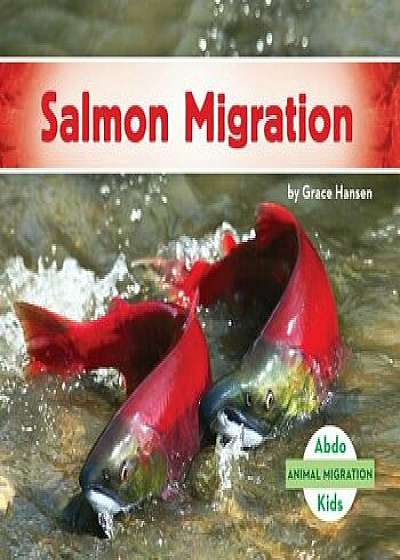 Salmon Migration, Hardcover/Grace Hansen