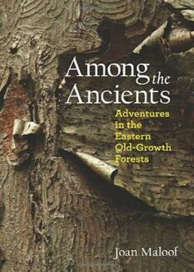 Among the Ancients: Adventures in the Eastern Old-Growth Forests, Paperback/Joan Maloof