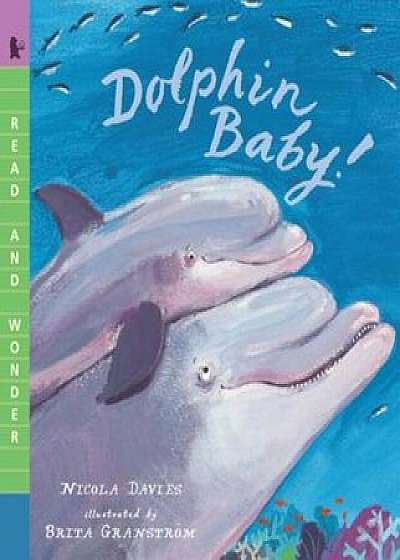 Dolphin Baby!, Paperback/Nicola Davies