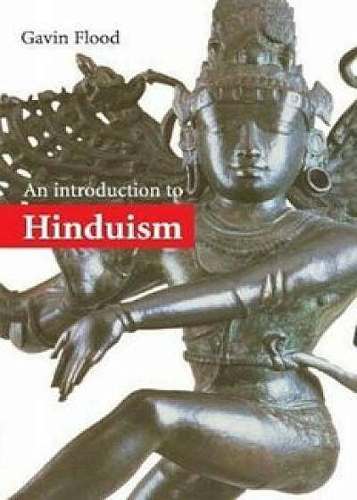 Introduction to Hinduism, Paperback/Gavin Flood