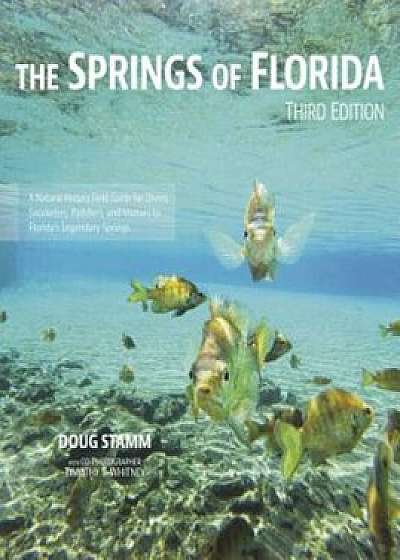 The Springs of Florida, Paperback/Doug Stamm