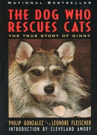 The Dog Who Rescues Cats: True Story of Ginny, the, Paperback/Philip Gonzalez