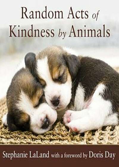 Random Acts of Kindness by Animals, Paperback/Stephanie LaLand