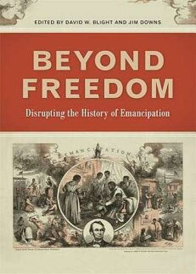 Beyond Freedom: Disrupting the History of Emancipation, Paperback/David W. Blight