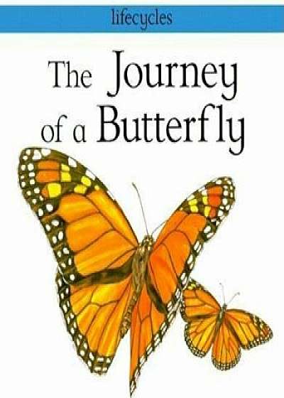 The Journey of a Butterfly, Paperback/Carolyn Scarce