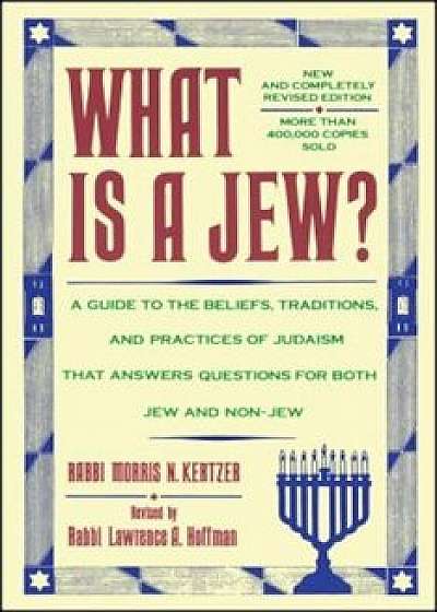 What Is a Jew, Paperback/Morris N. Kertzer