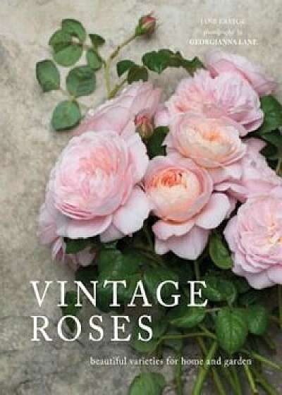 Vintage Roses: Beautiful Varieties for Home and Garden, Hardcover/Jane Eastoe