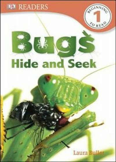 Bugs Hide and Seek, Paperback/Laura Buller