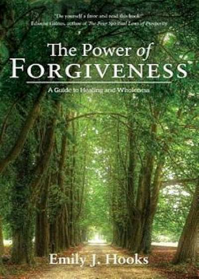 The Power of Forgiveness: A Guide to Healing and Wholeness, Paperback/Emily J. Hooks
