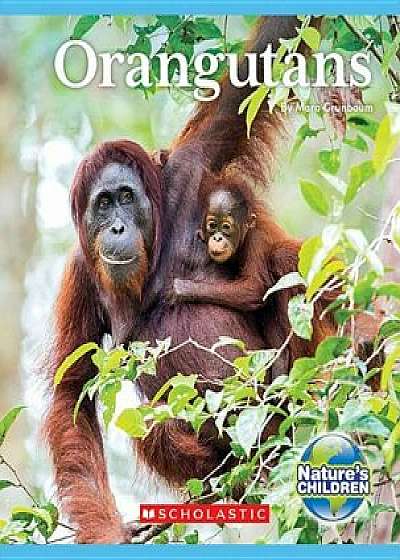 Orangutans, Hardcover/Mara Grunbaum