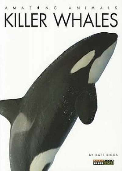 Killer Whales, Paperback/Kate Riggs