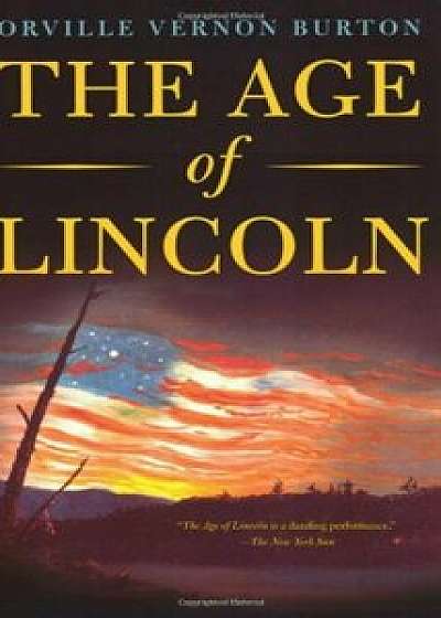 The Age of Lincoln, Paperback/Orville Vernon Burton